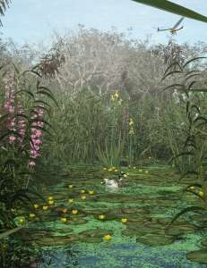 [daz环境] Wetlands Low Res Plants for Vol 2 – Flowering Plants-DAZ爱好者