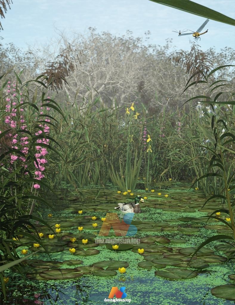 [daz环境] Wetlands Low Res Plants for Vol 2 - Flowering Plants-DAZ爱好者