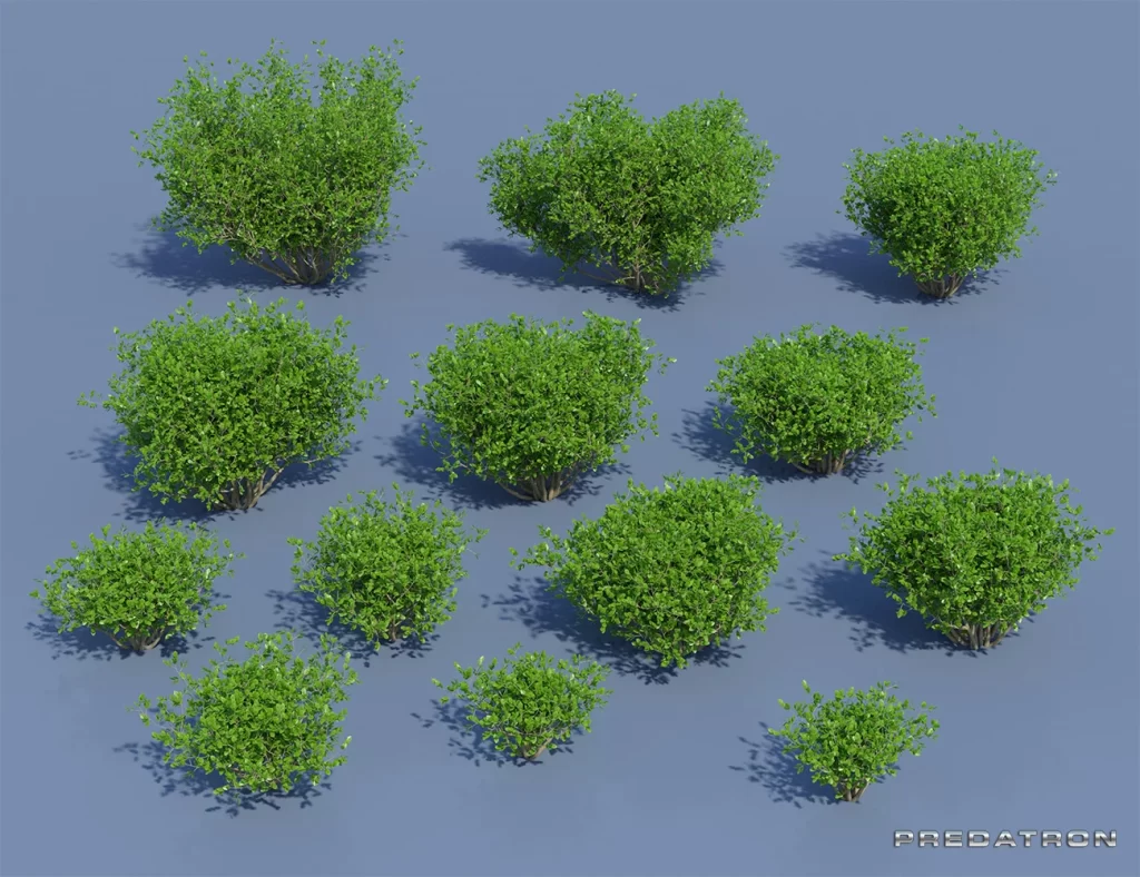 图片[3]-[daz环境] Into The Bushes-DAZ爱好者