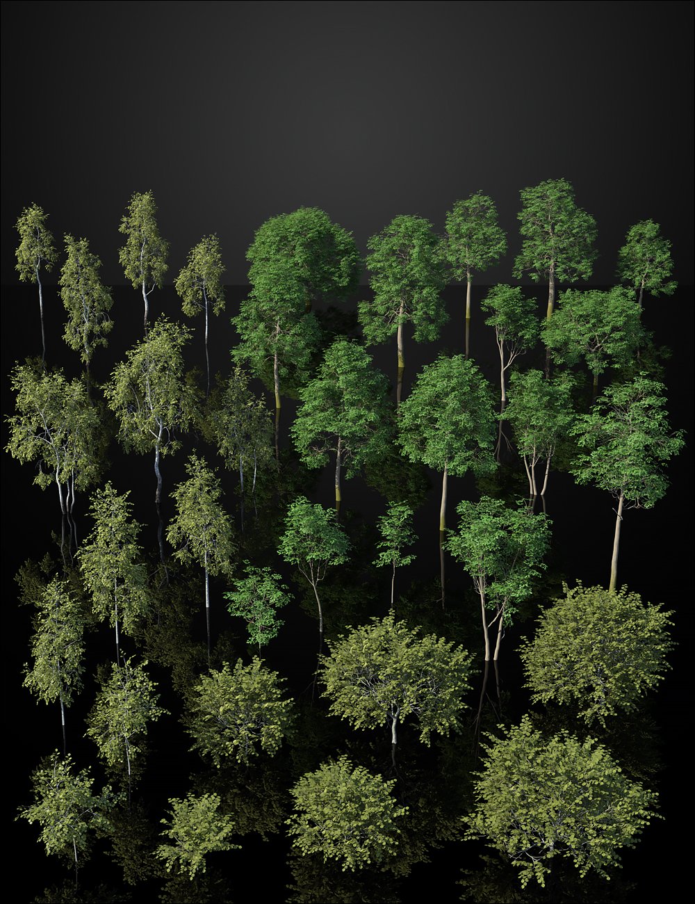 图片[2]-[daz场景] Britain Botanica – Bundle-DAZ爱好者