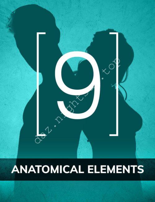 [daz插件] Genesis 9 Anatomical Elements-DAZ爱好者