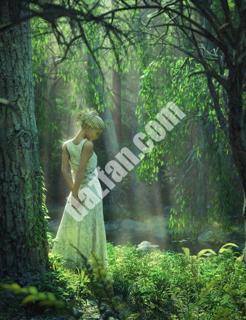 [daz场景] 柳树溪-DAZ爱好者