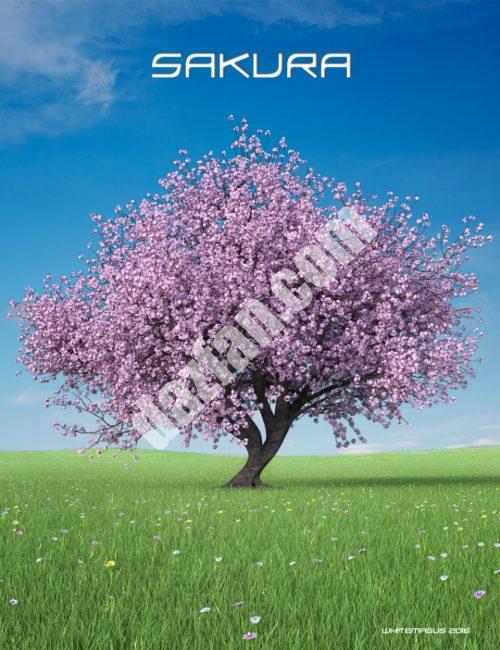 [daz场景] 樱花极端细节-DAZ爱好者