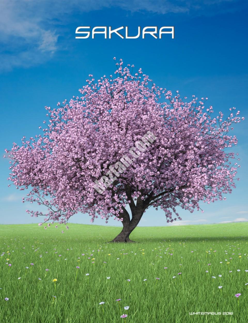 [daz场景] 樱花极端细节-DAZ爱好者