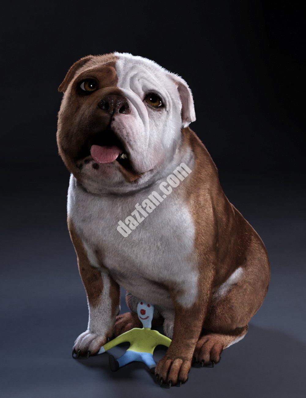 [daz角色] 英国斗牛犬巴克斯特8号-DAZ爱好者