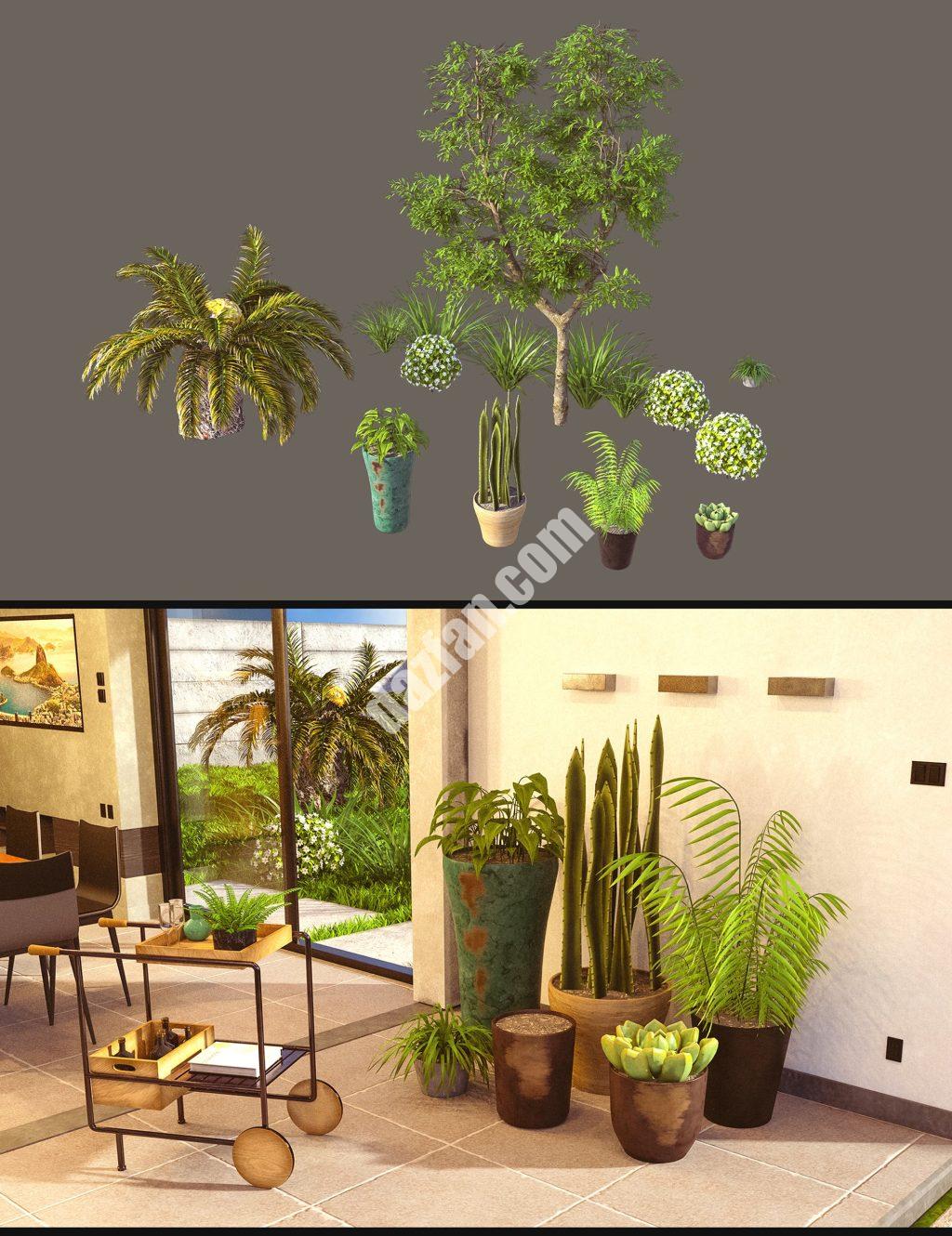 [daz场景] Cecilia House植物-DAZ爱好者