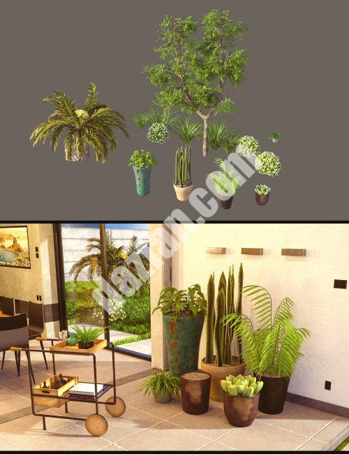 [daz场景] Cecilia House植物-DAZ爱好者