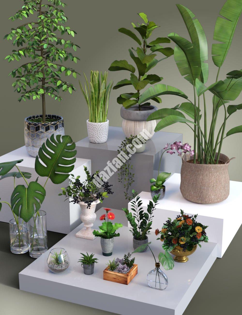 [daz场景] 盆栽植物收藏-DAZ爱好者
