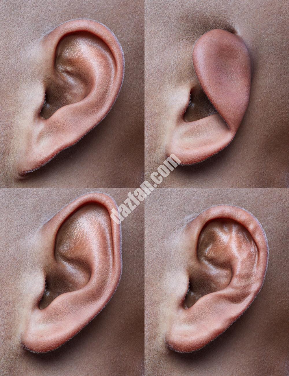 [daz姿势] 创世纪9的基本耳朵形状-DAZ爱好者