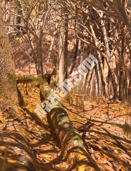 [daz场景] 秋季森林Vignette高清场景和冬季附加组件-DAZ爱好者