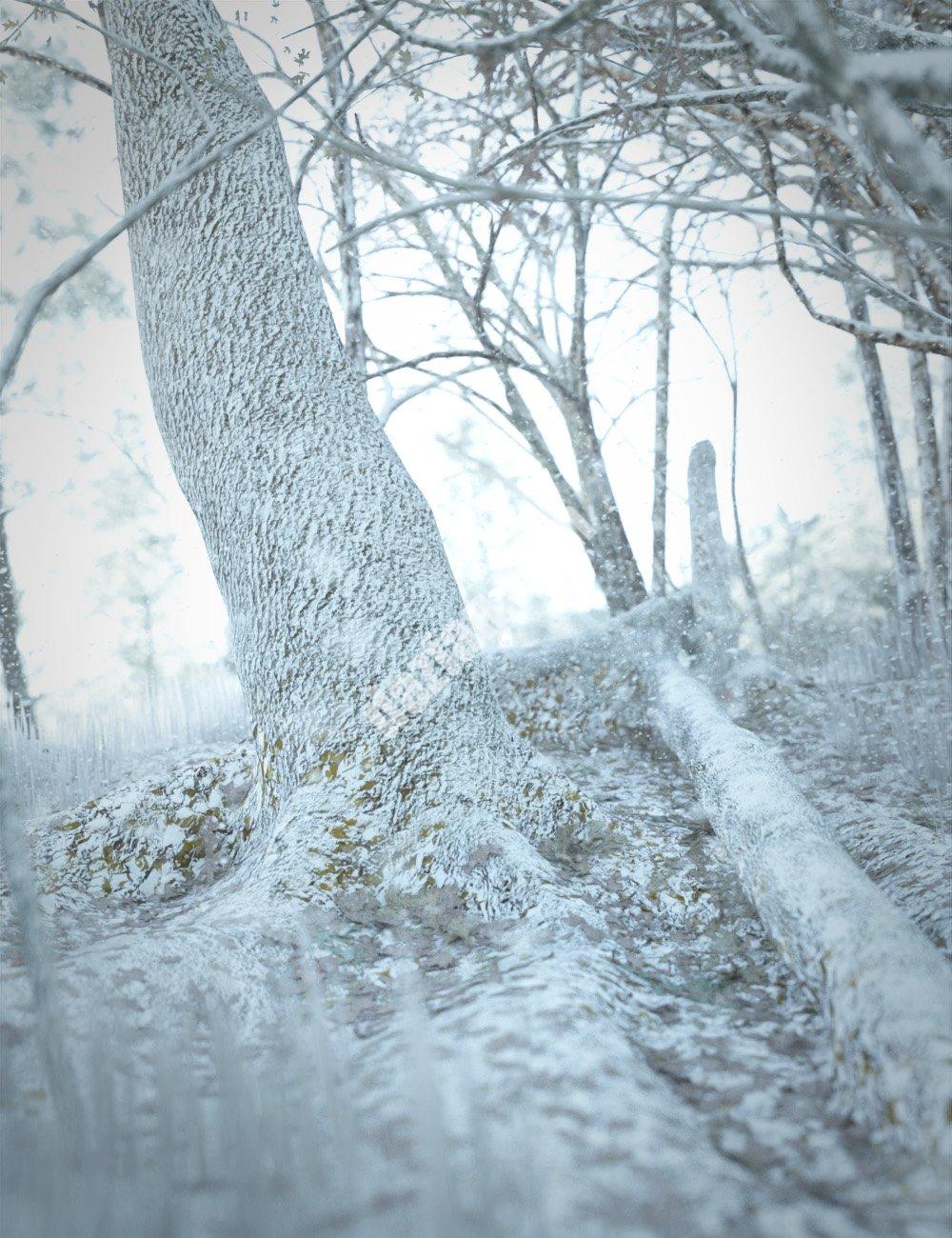 [daz场景] 秋季伍兹Vignette冬季附加组件-DAZ爱好者