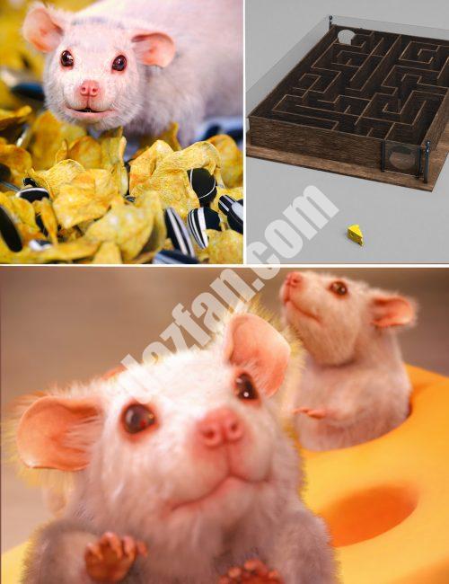 [daz合集] 老鼠捆绑包-DAZ爱好者