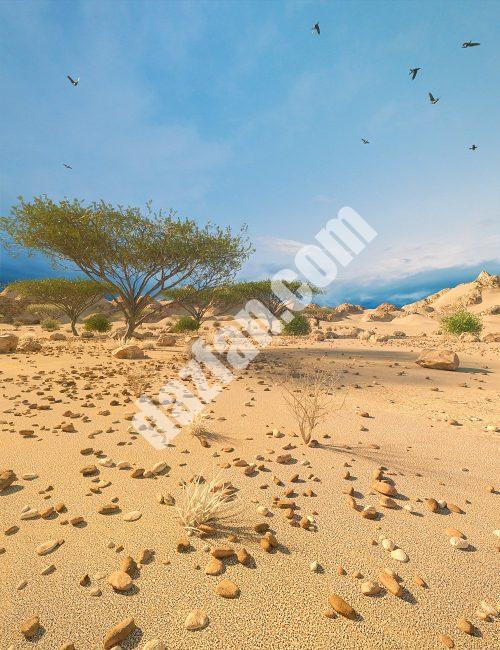 [daz场景] 沙漠抑郁-DAZ爱好者