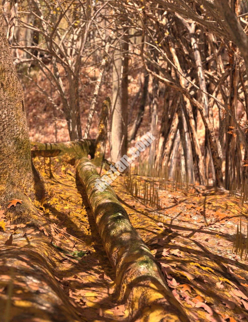 [daz场景] Fall Woods Vignette高清场景-DAZ爱好者