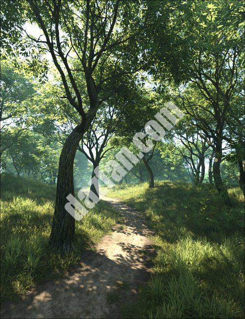 [daz场景] 绿色的树林-DAZ爱好者
