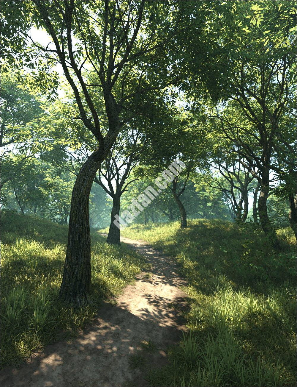 [daz场景] 绿色的树林-DAZ爱好者