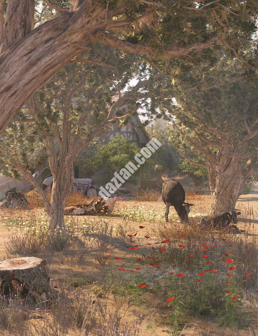 [daz场景] 橄榄林-古老的橄榄树-DAZ爱好者